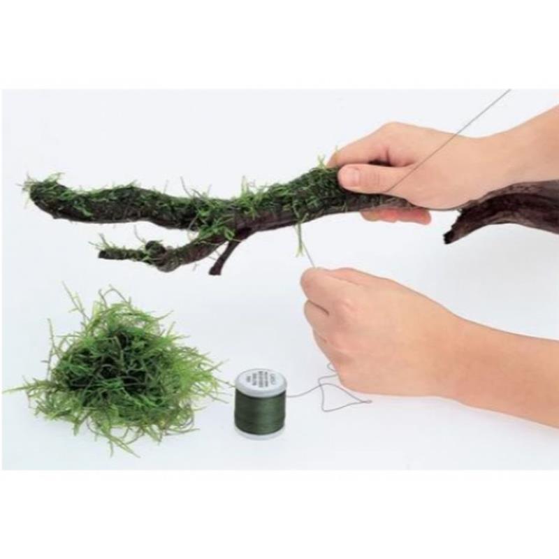 Fir legare moss ADA Moss Cotton - imagine 4